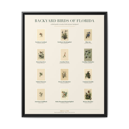 Florida backyard birds framed canvas shown on a wall | Perch & Pine