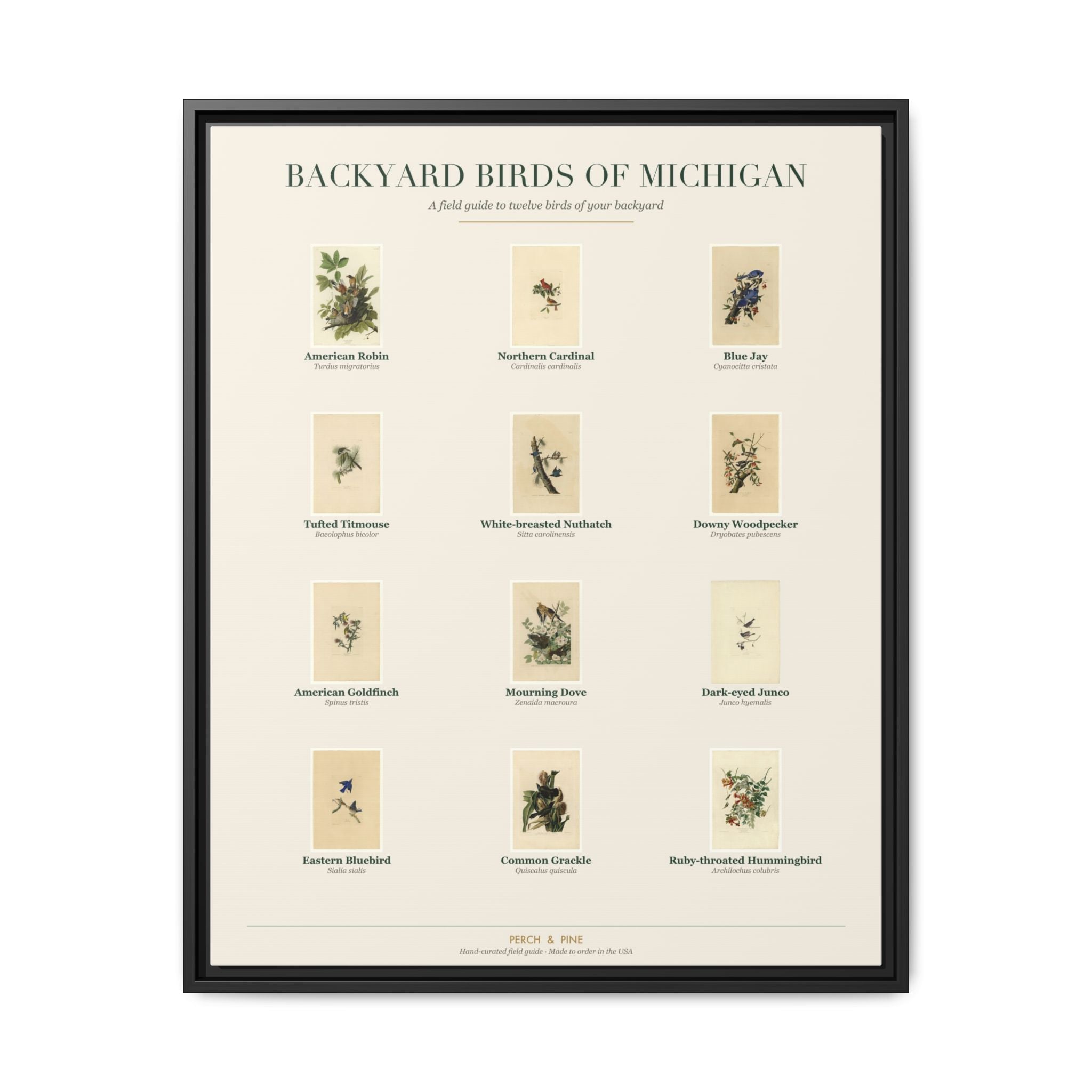 Michigan backyard birds framed canvas shown on a wall | Perch & Pine