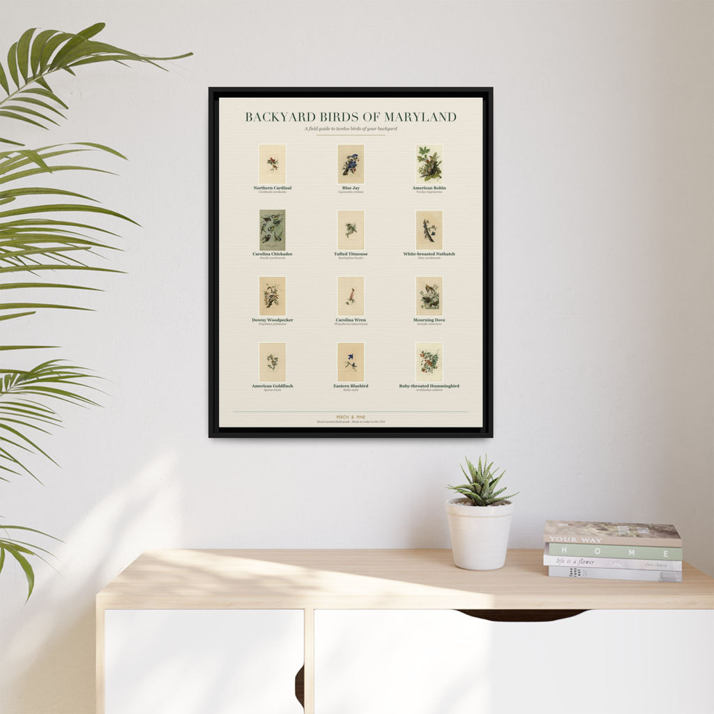 Backyard Birds of Maryland — Framed Canvas Bird Identification Print