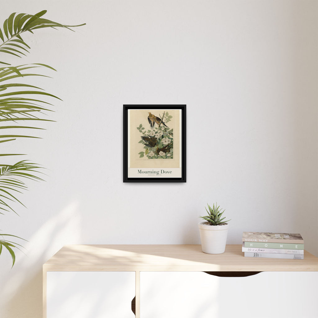 Mourning Dove — Framed Canvas Bird Print
