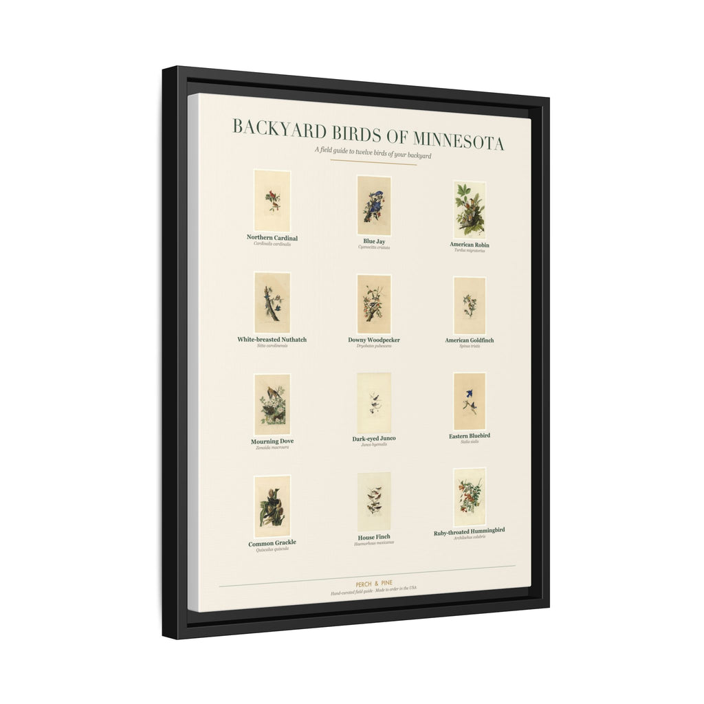 Minnesota backyard birds print, species labeled by name | Perch & Pine