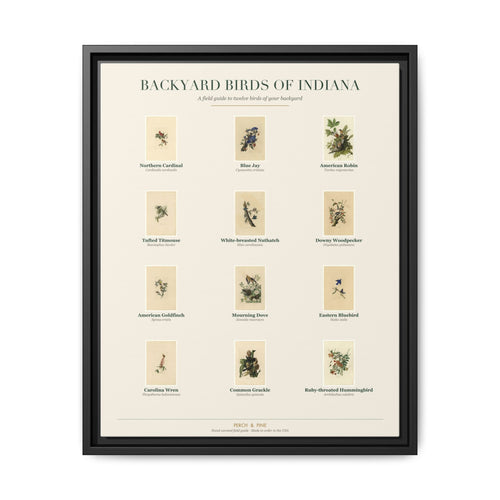 Backyard Birds of Indiana — framed canvas wall art bird identification print | Perch & Pine