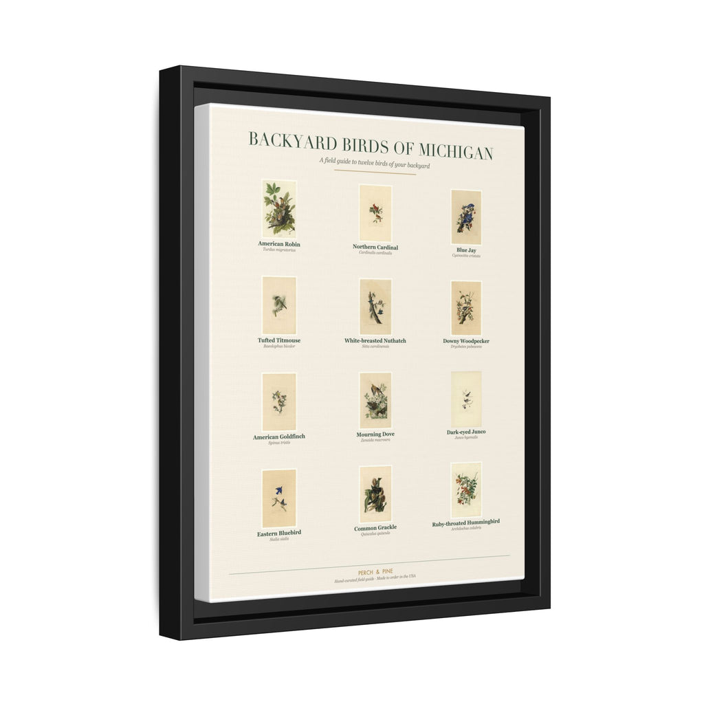 Backyard Birds of Michigan — Framed Canvas Bird Identification Print