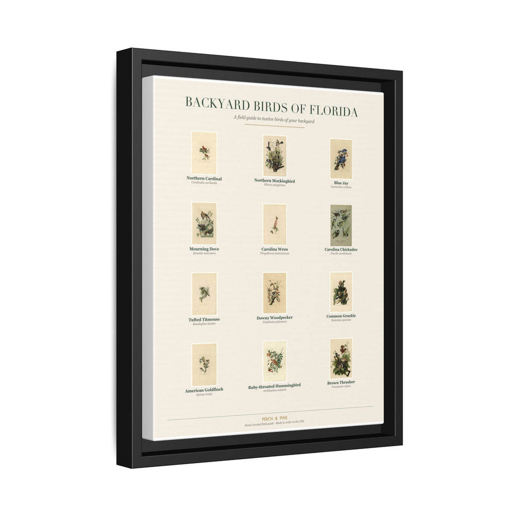 Backyard Birds of Florida Framed Canvas Wall Art Print