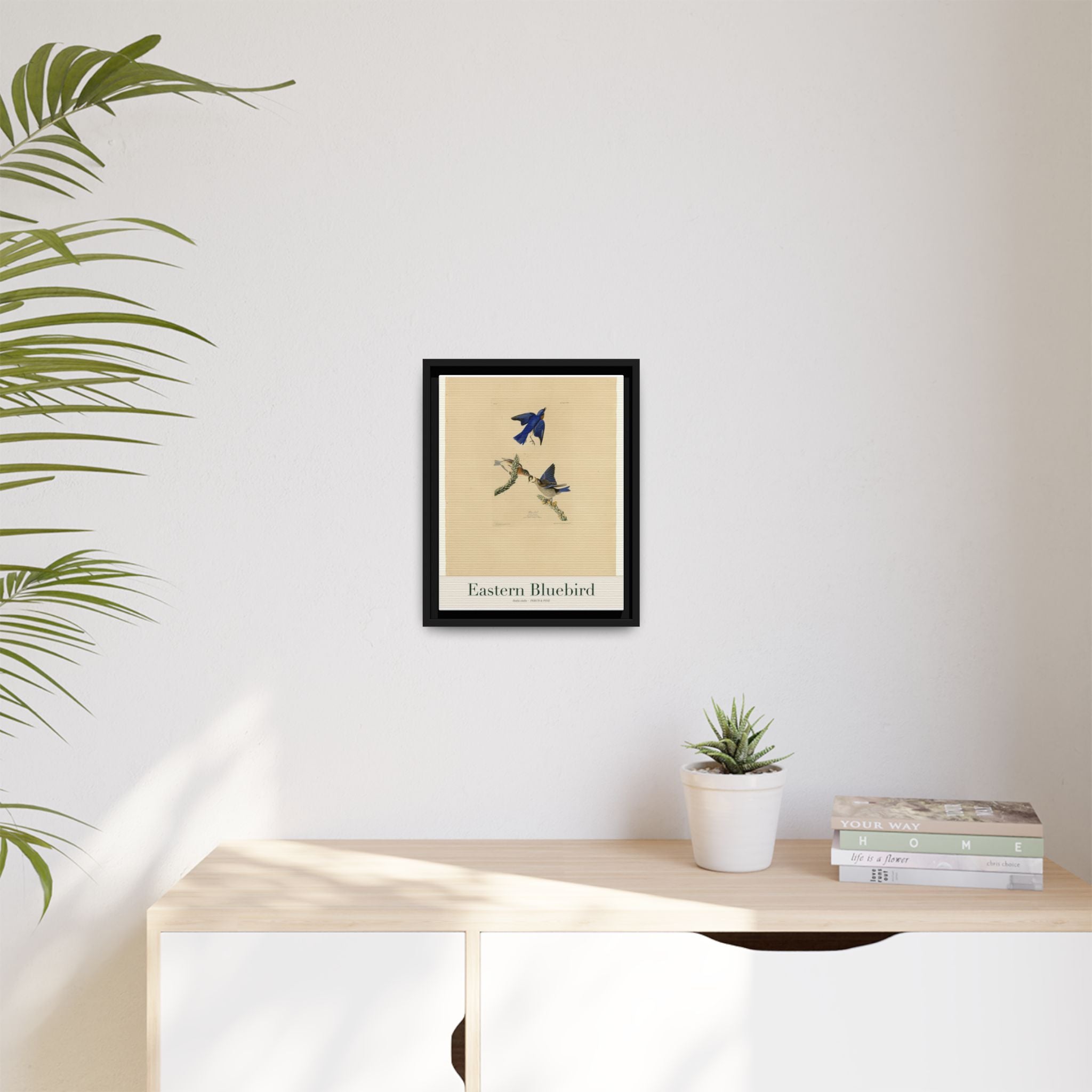 Eastern Bluebird — Framed Canvas Bird Print