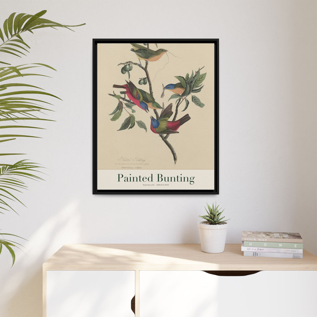Painted Bunting — Framed Canvas Bird Print