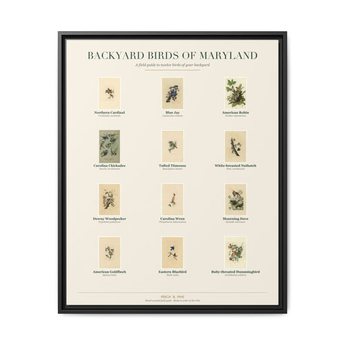 Maryland backyard birds framed canvas shown on a wall | Perch & Pine