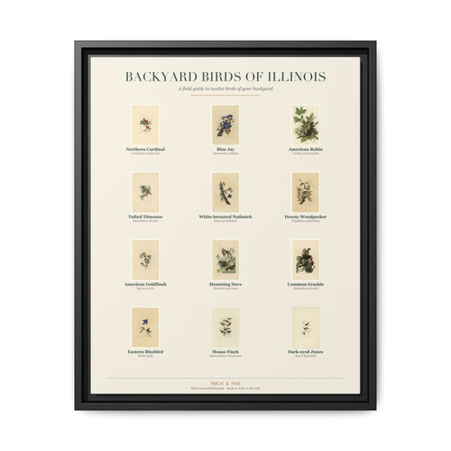Backyard Birds of Illinois — framed canvas wall art bird identification print | Perch & Pine