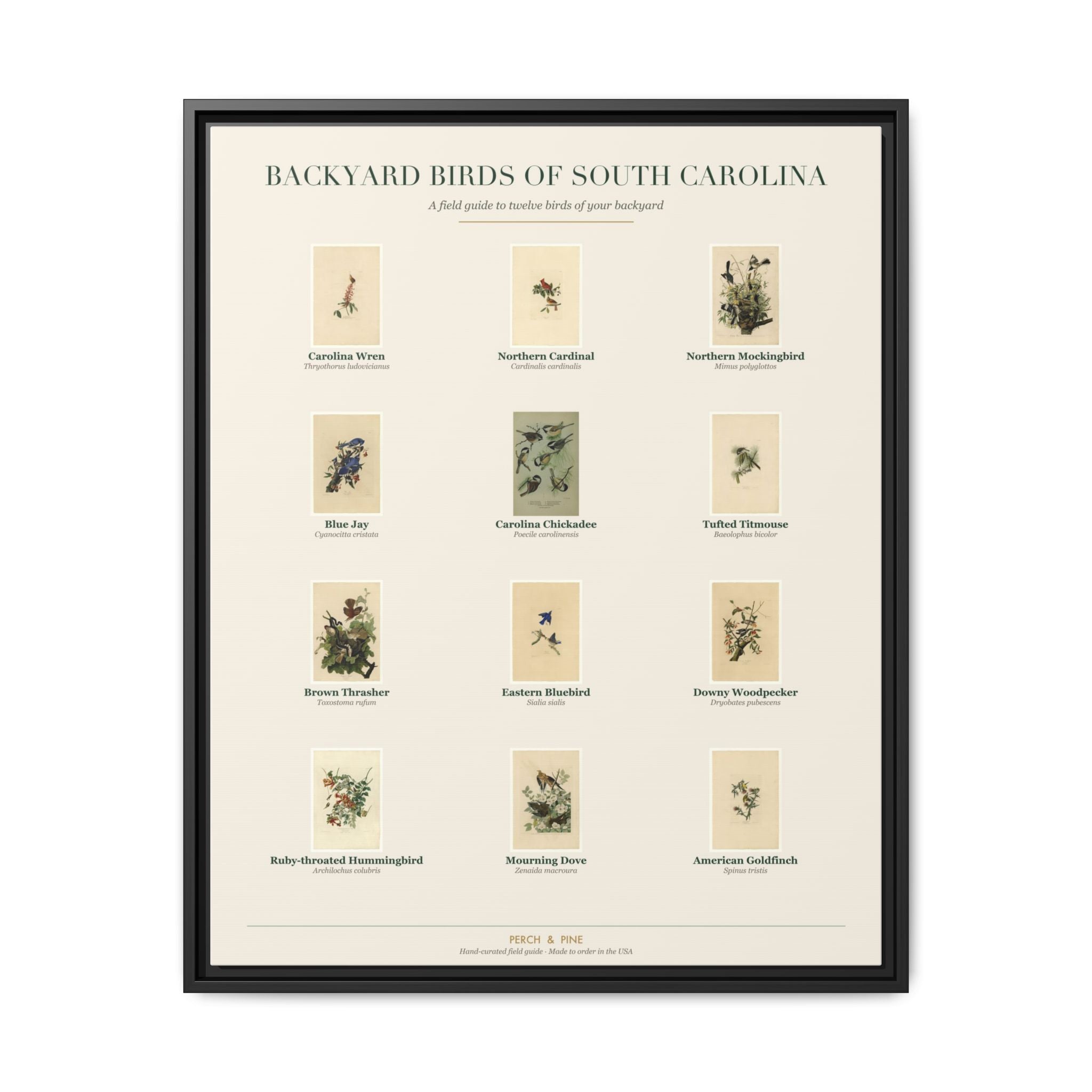 South Carolina backyard birds framed canvas shown on a wall | Perch & Pine