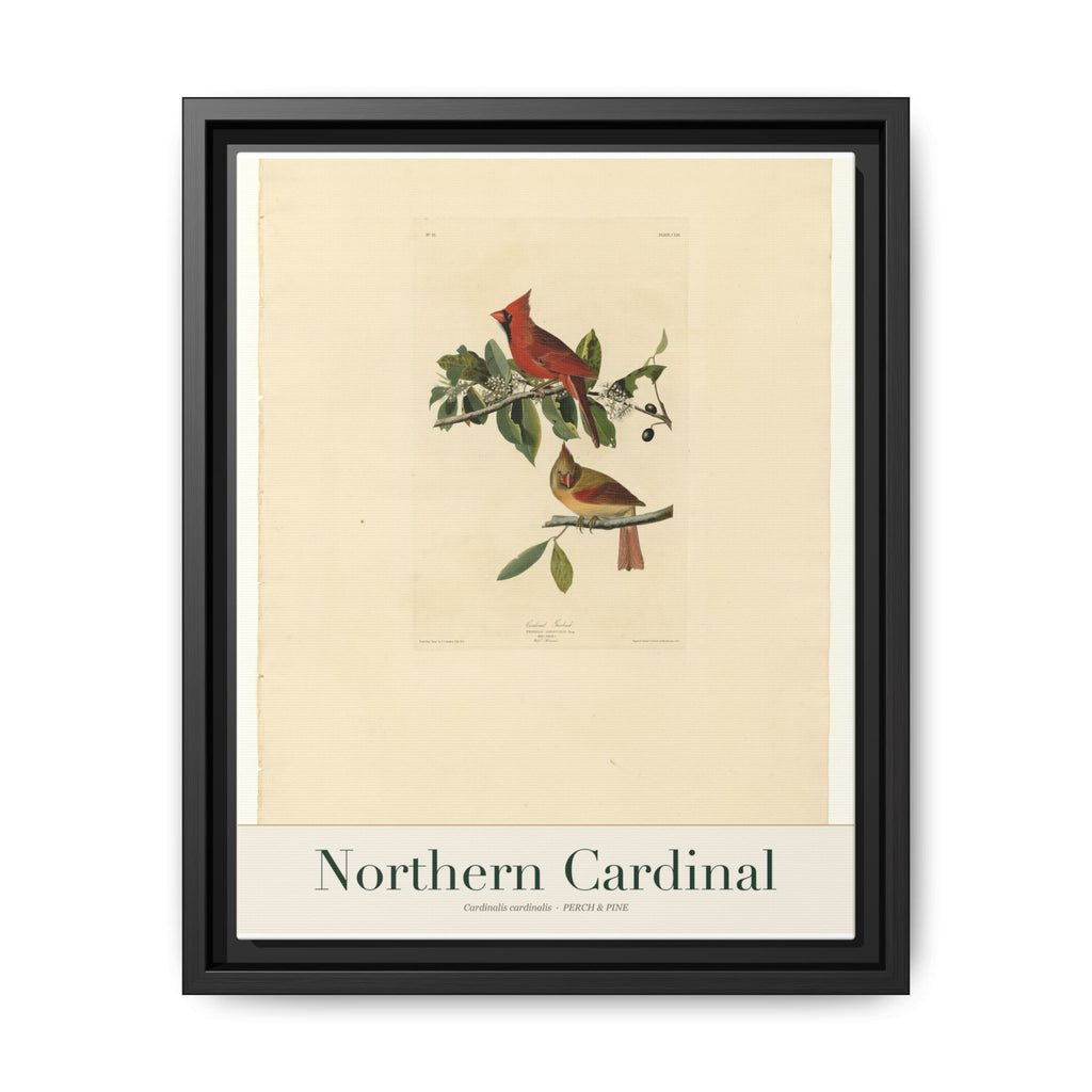 Northern Cardinal bird wall art — gallery-wrapped canvas | Perch & Pine
