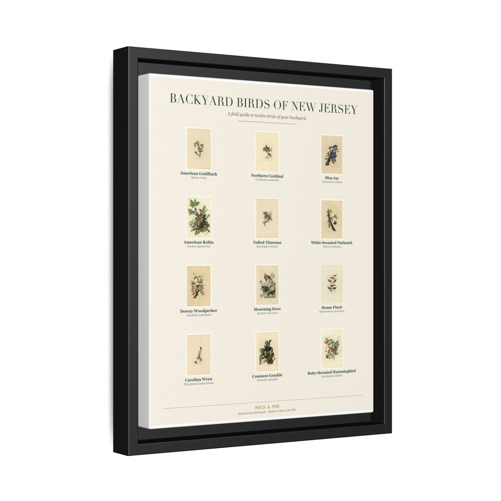 Backyard Birds of New Jersey — Framed Canvas Bird Identification Print