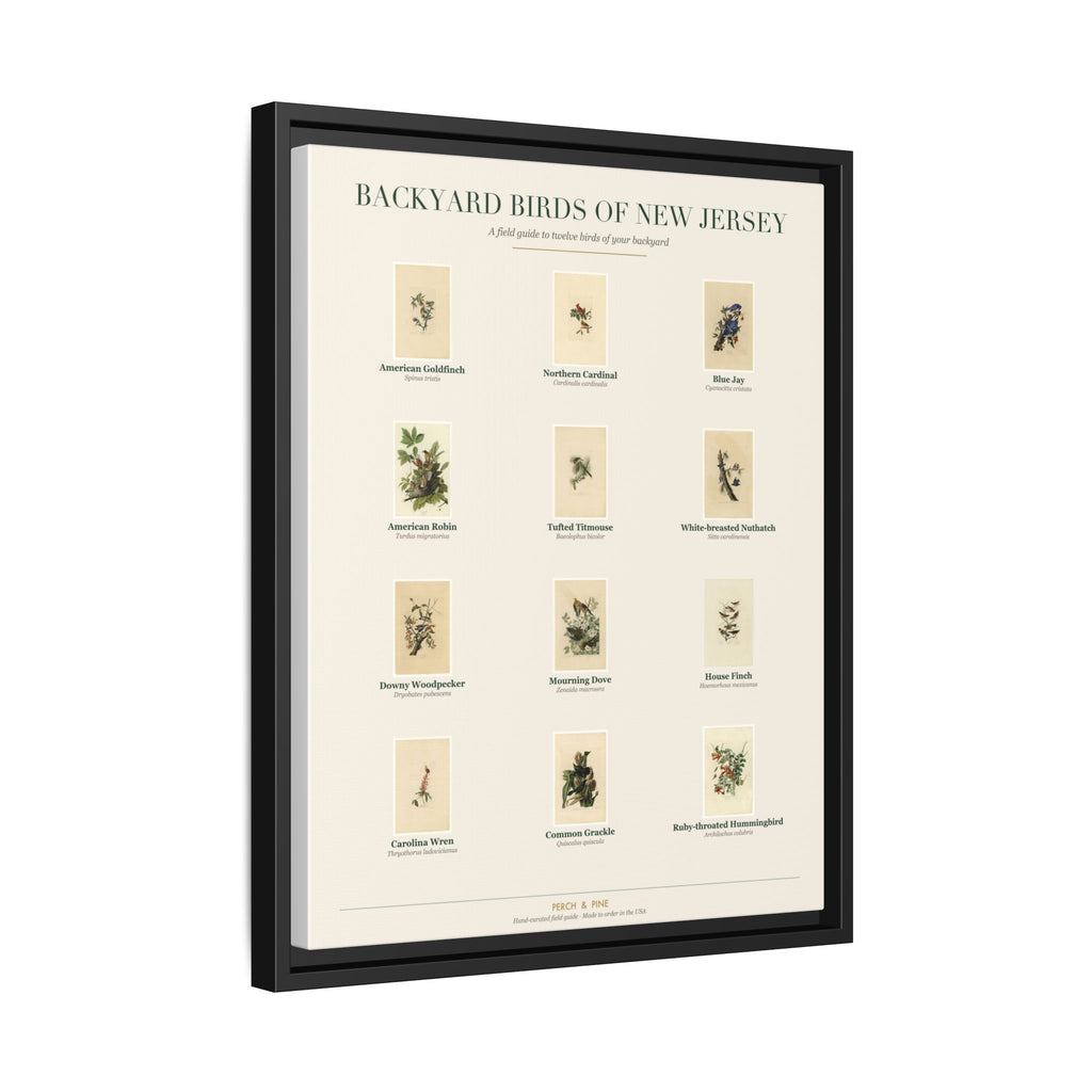 New Jersey backyard birds print, species labeled by name | Perch & Pine
