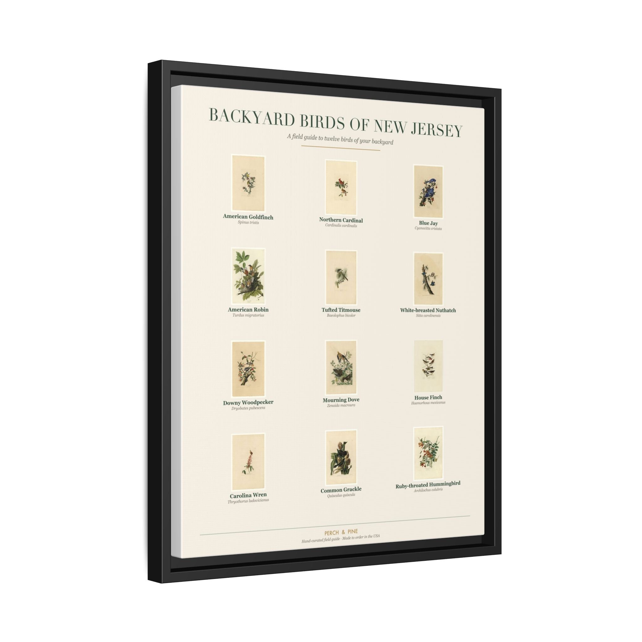 New Jersey backyard birds print, species labeled by name | Perch & Pine