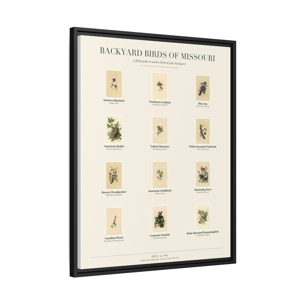 Backyard Birds of Missouri — Framed Canvas Bird Identification Print
