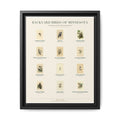 Minnesota bird field guide wall art — gallery-wrapped canvas | Perch & Pine