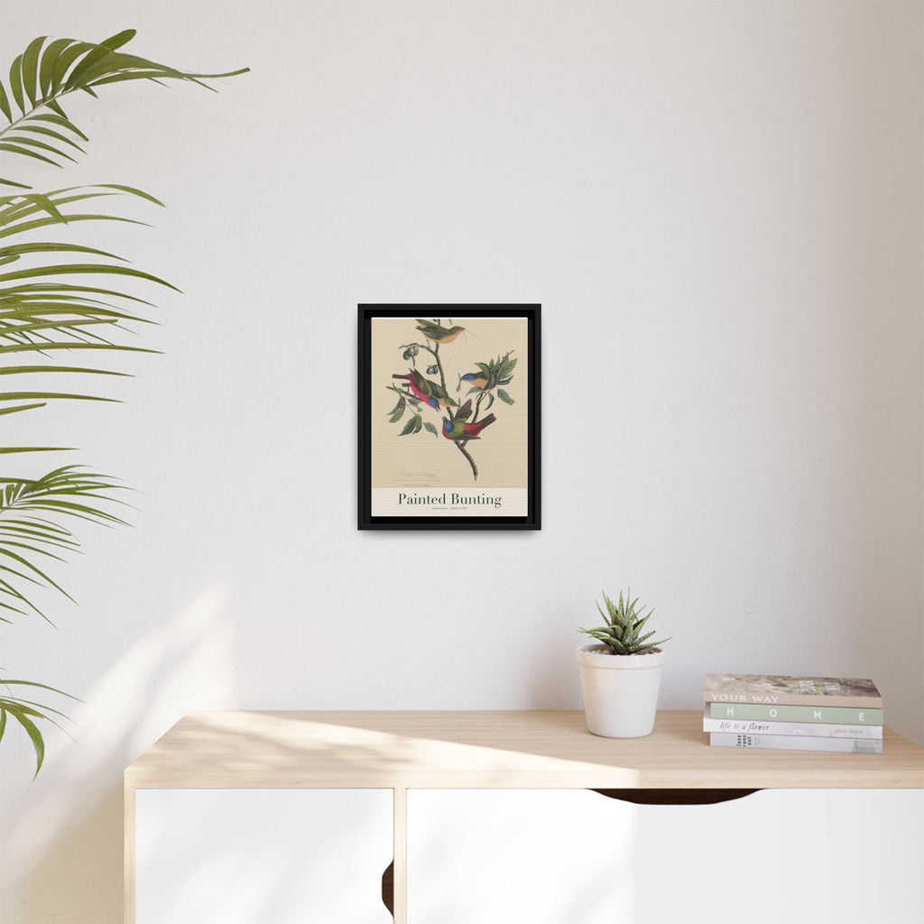 Painted Bunting — Framed Canvas Bird Print