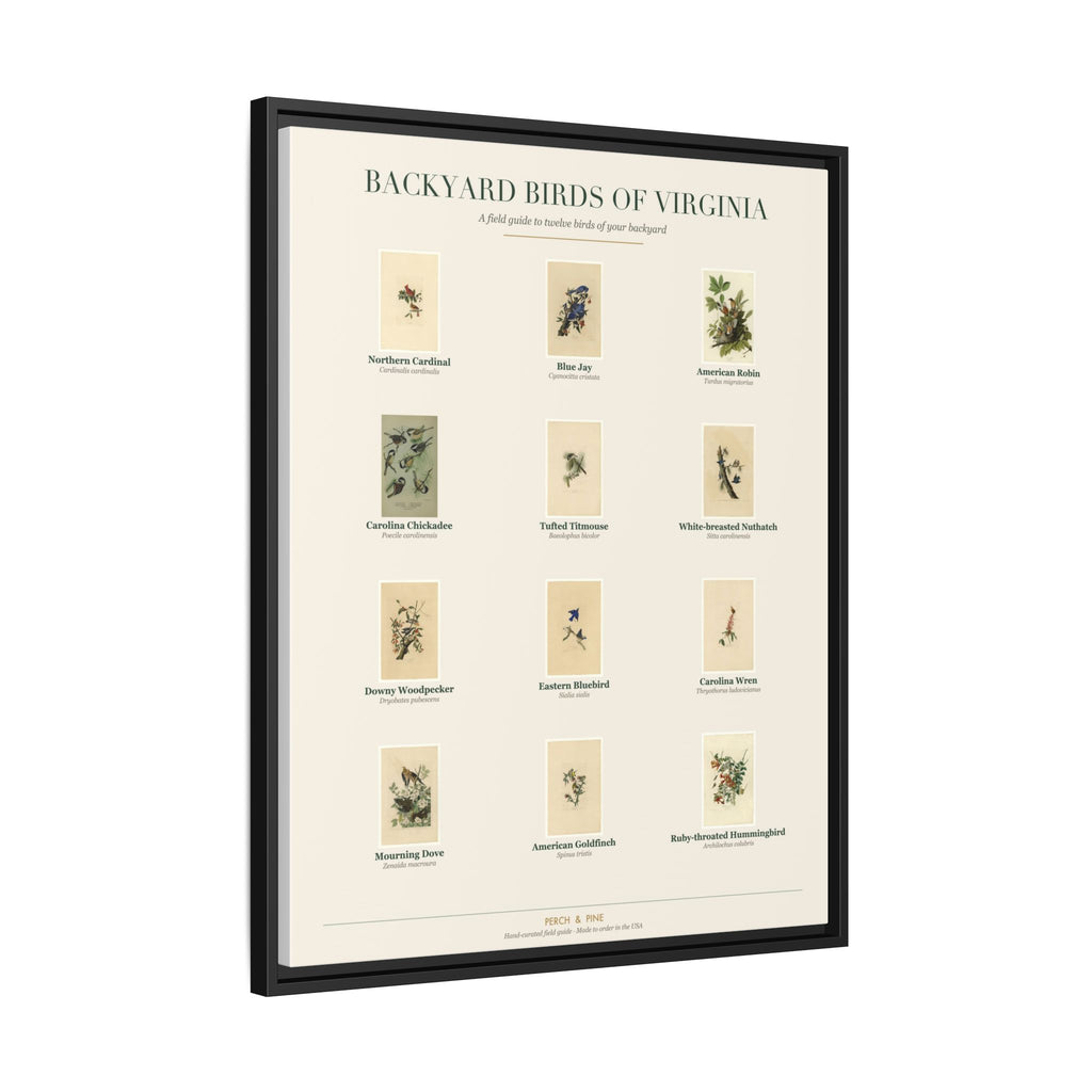 Backyard Birds of Virginia — Framed Canvas Bird Identification Print