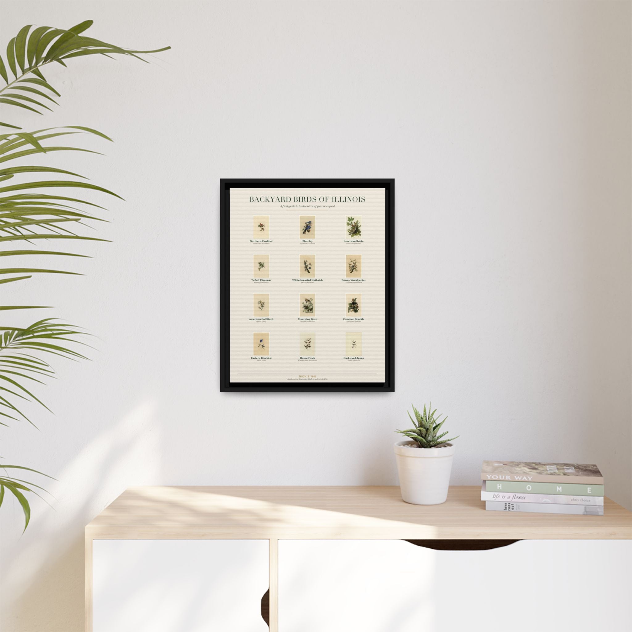 Illinois framed bird identification canvas detail | Perch & Pine
