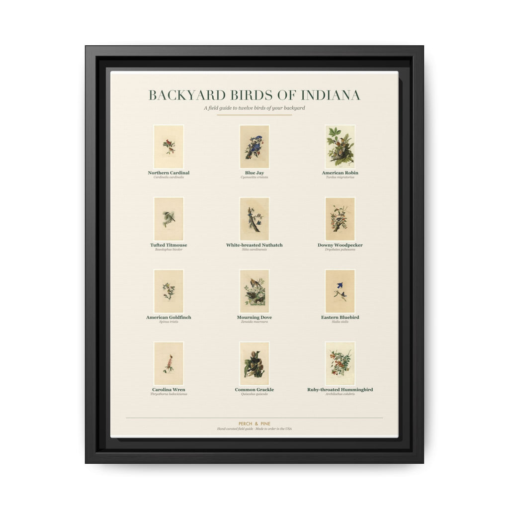 Indiana bird field guide wall art — gallery-wrapped canvas | Perch & Pine