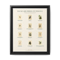 Indiana bird field guide wall art — gallery-wrapped canvas | Perch & Pine