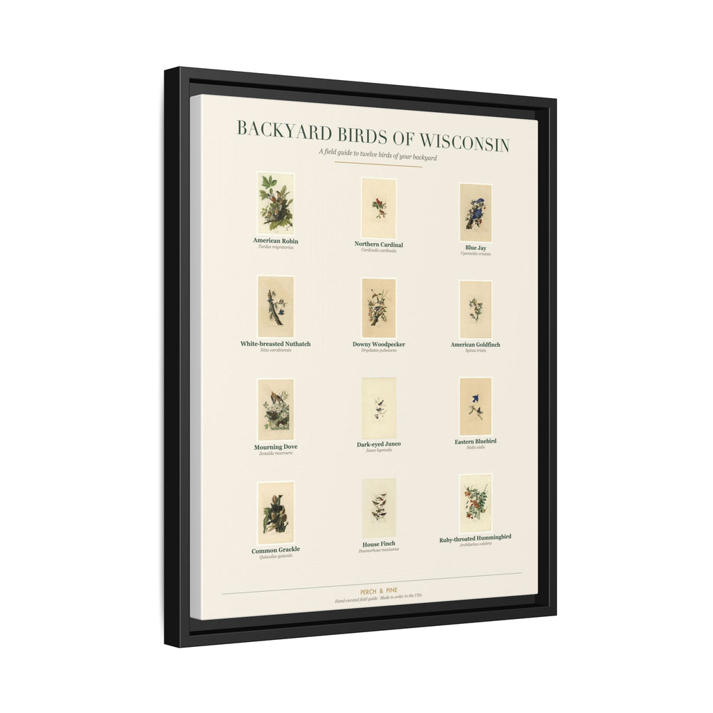 Wisconsin backyard birds print, species labeled by name | Perch & Pine