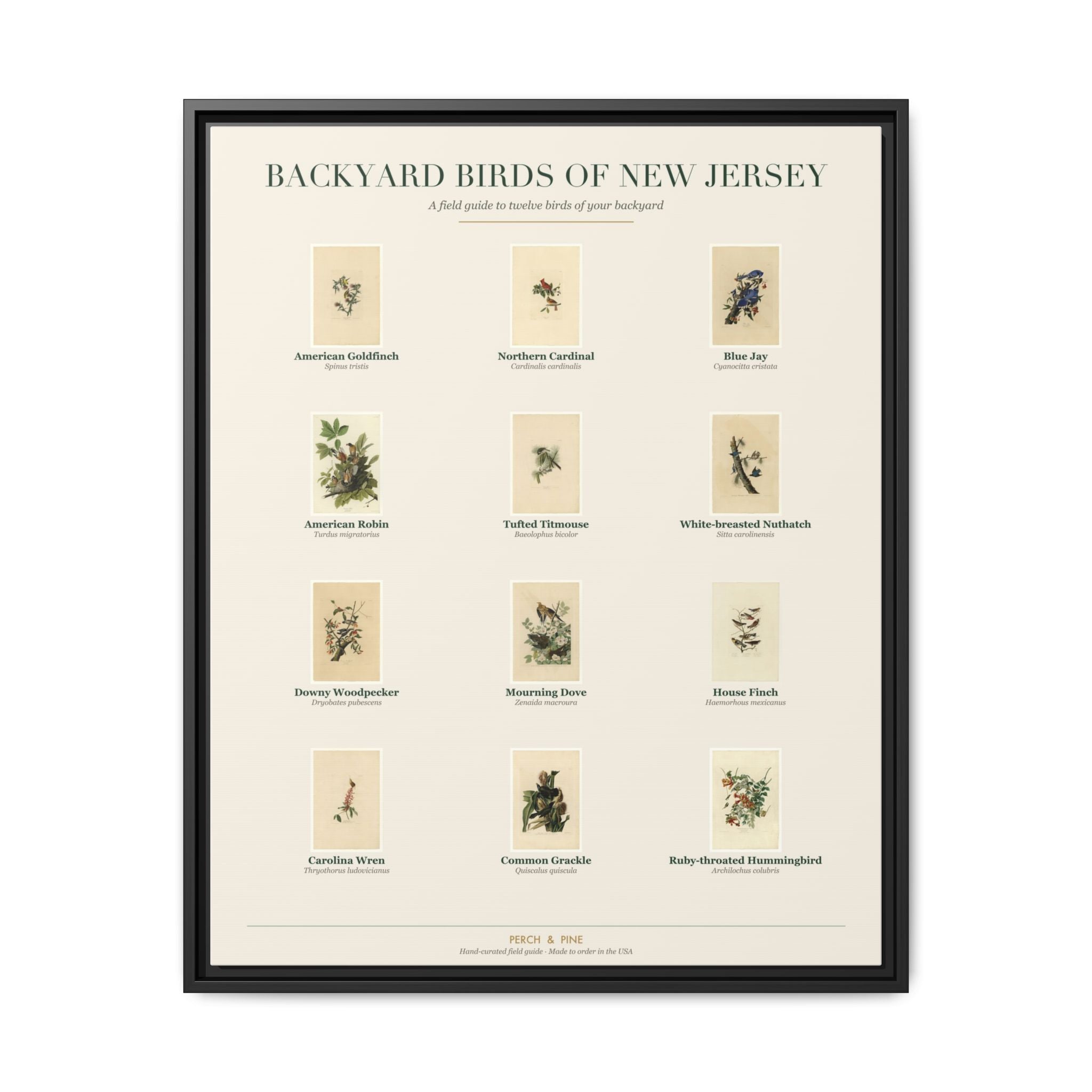 New Jersey backyard birds framed canvas shown on a wall | Perch & Pine