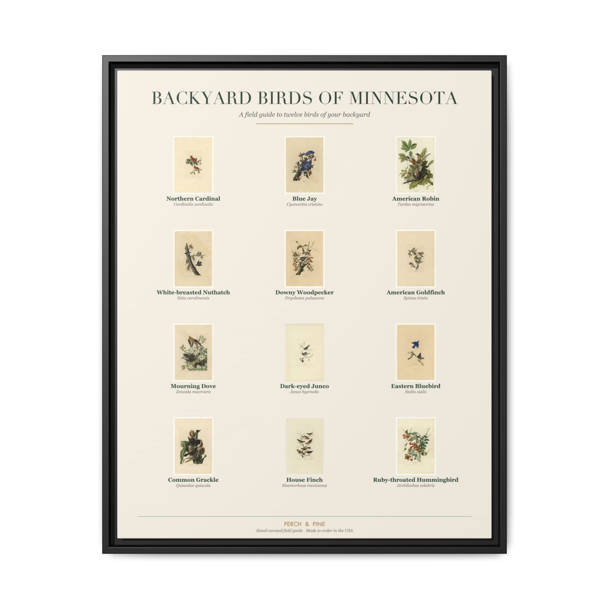 Minnesota backyard birds framed canvas shown on a wall | Perch & Pine