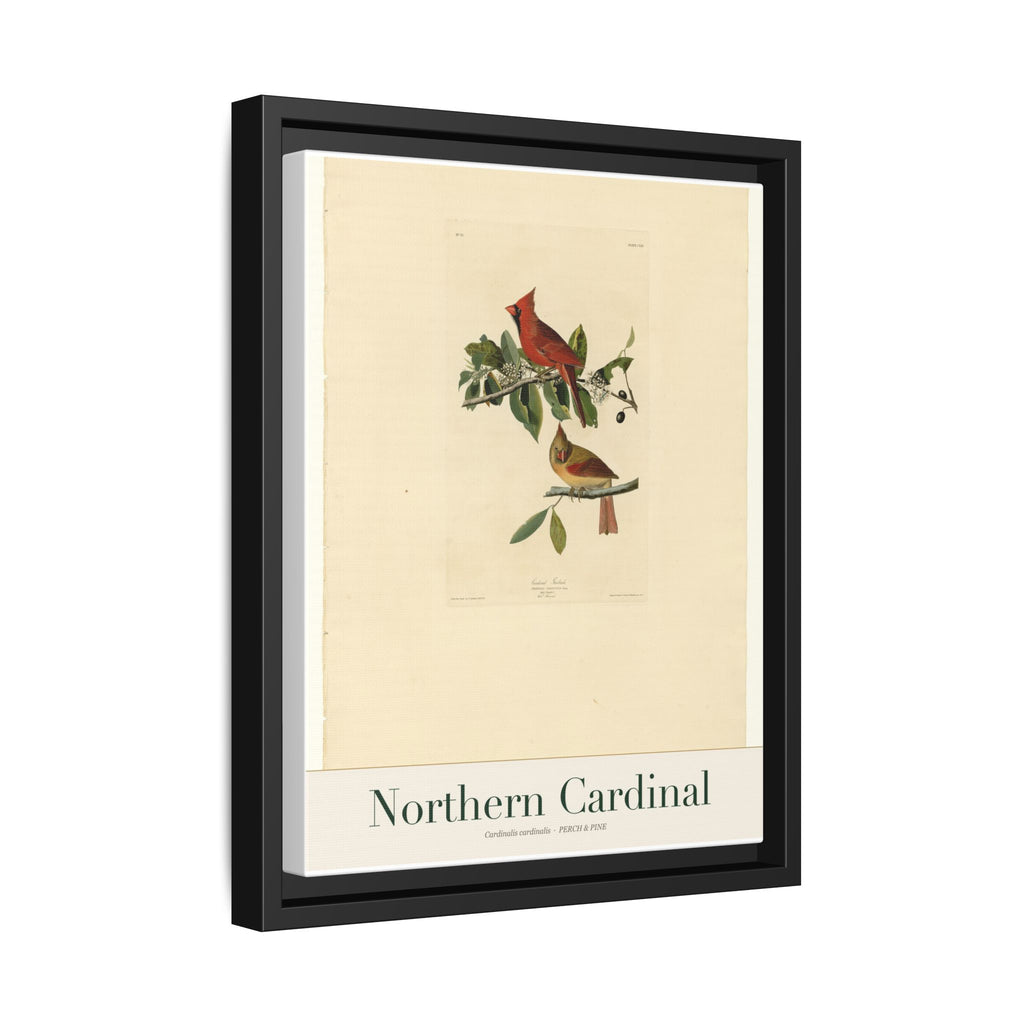 Northern Cardinal — Framed Canvas Bird Print