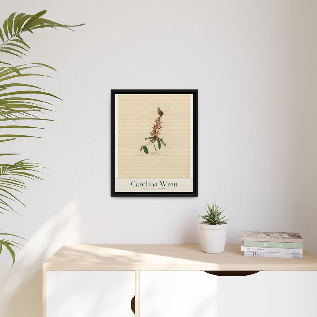 Carolina Wren heritage bird portrait, framed canvas | Perch & Pine