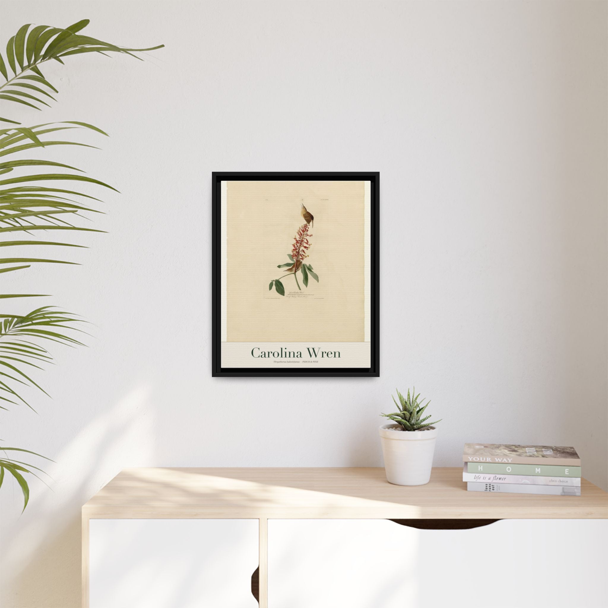 Carolina Wren heritage bird portrait, framed canvas | Perch & Pine