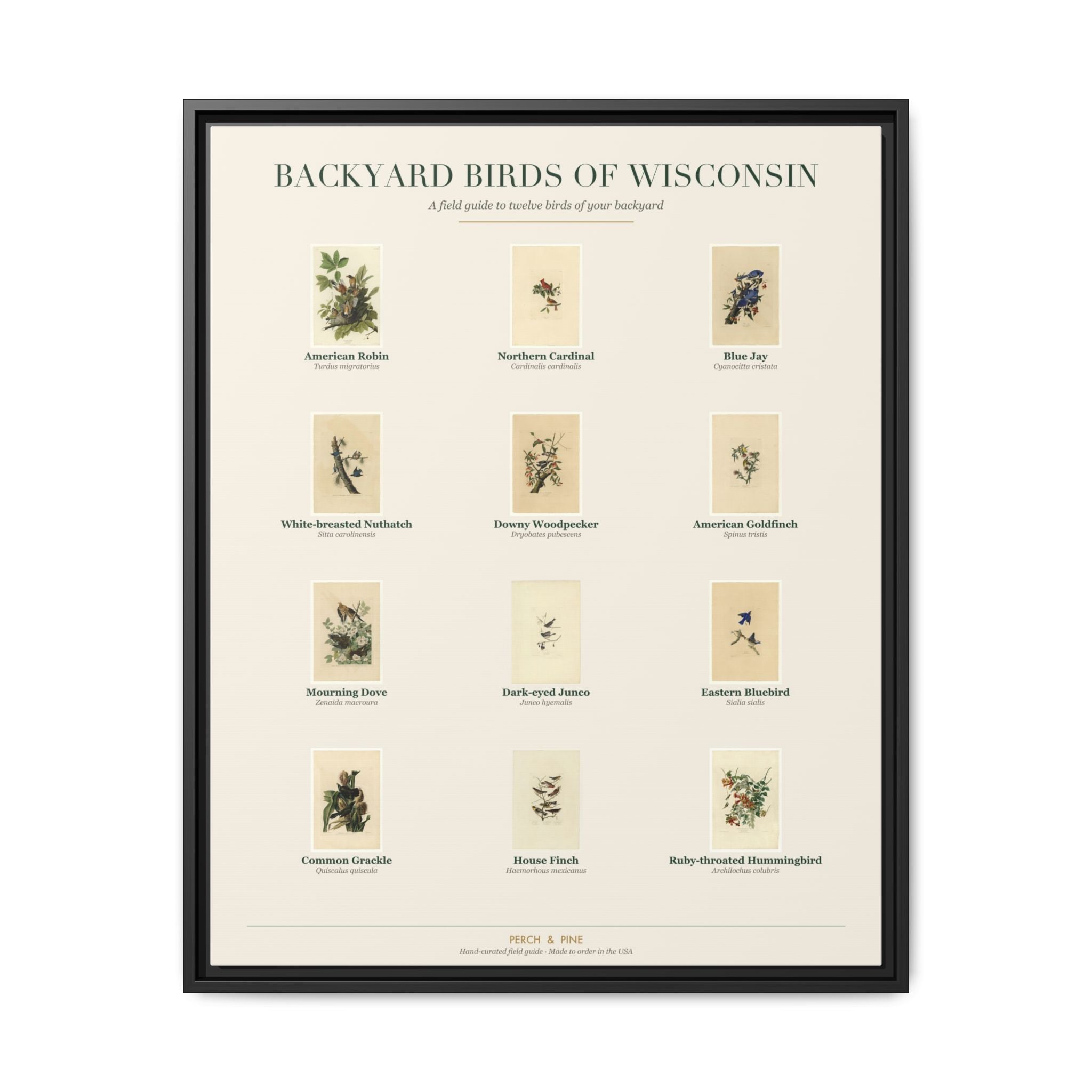 Wisconsin backyard birds framed canvas shown on a wall | Perch & Pine