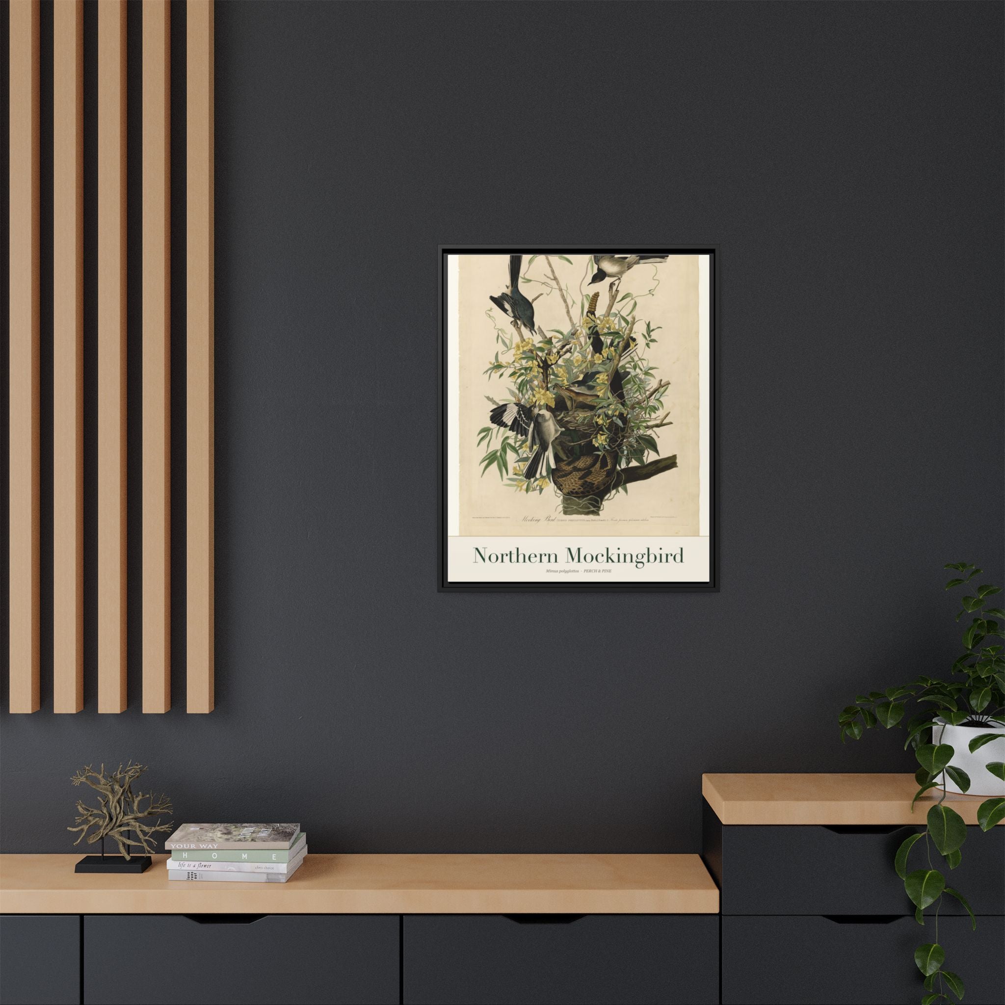 Northern Mockingbird — Framed Canvas Bird Print