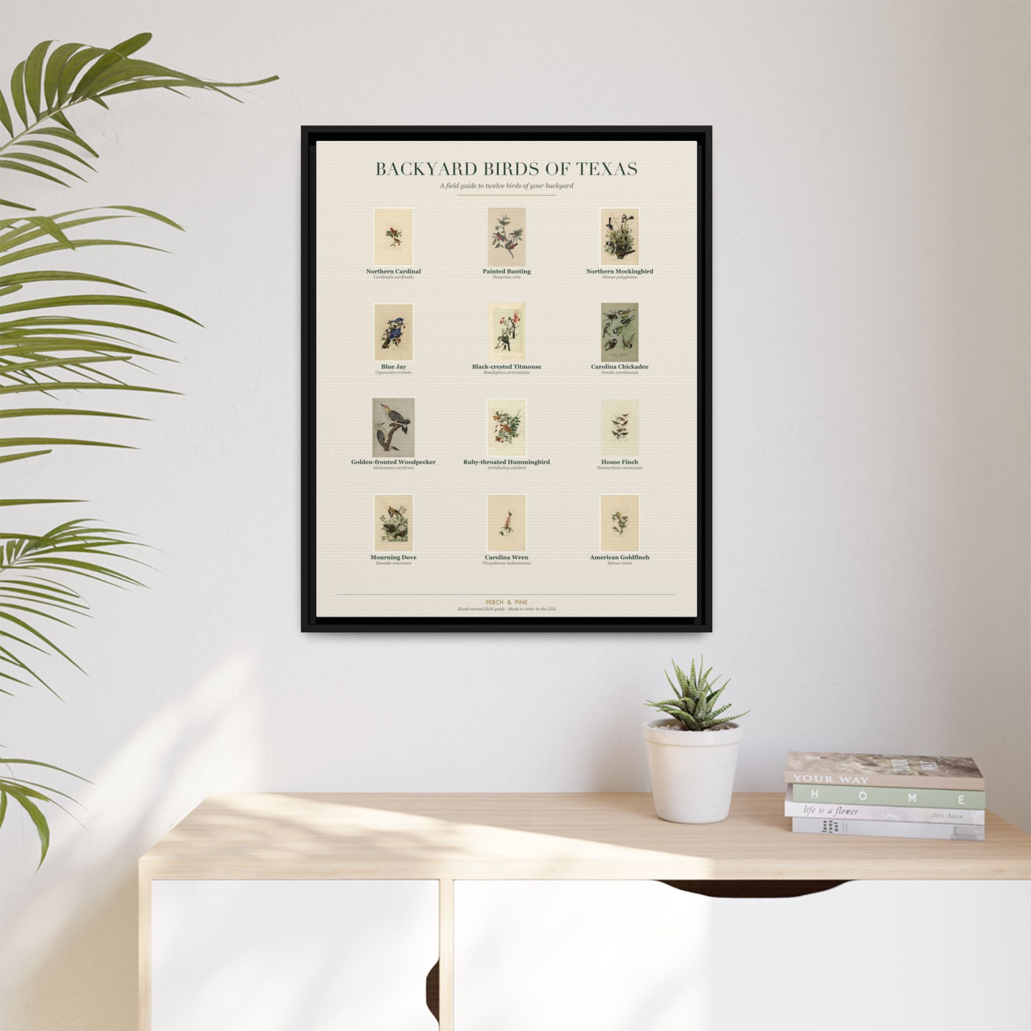 Backyard Birds of Texas — Framed Canvas Bird Identification Print