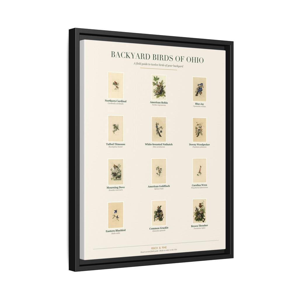 Ohio backyard birds print, species labeled by name | Perch & Pine