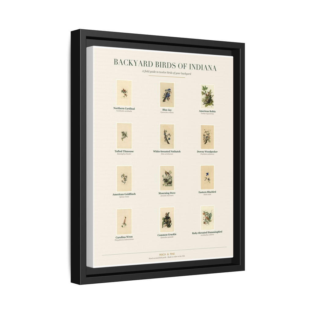 Backyard Birds of Indiana — Framed Canvas Bird Identification Print