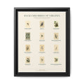 Virginia bird field guide wall art — gallery-wrapped canvas | Perch & Pine