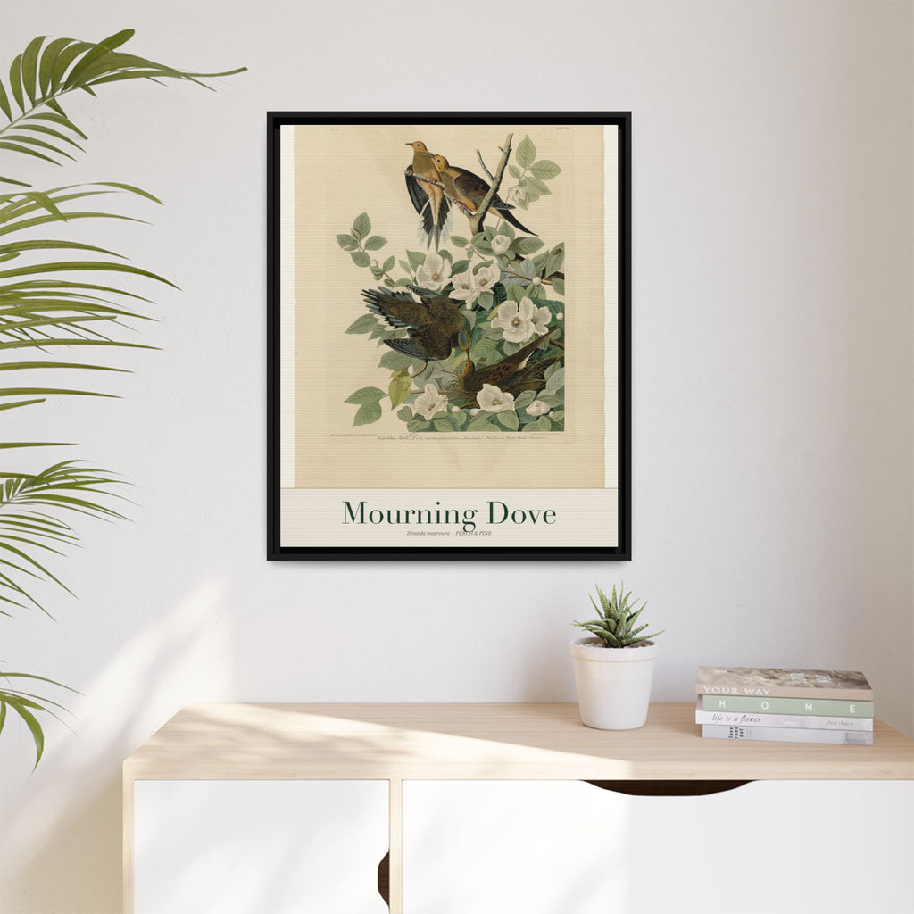 Mourning Dove — Framed Canvas Bird Print