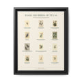 Texas bird field guide wall art — gallery-wrapped canvas | Perch & Pine