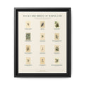 Maryland bird field guide wall art — gallery-wrapped canvas | Perch & Pine