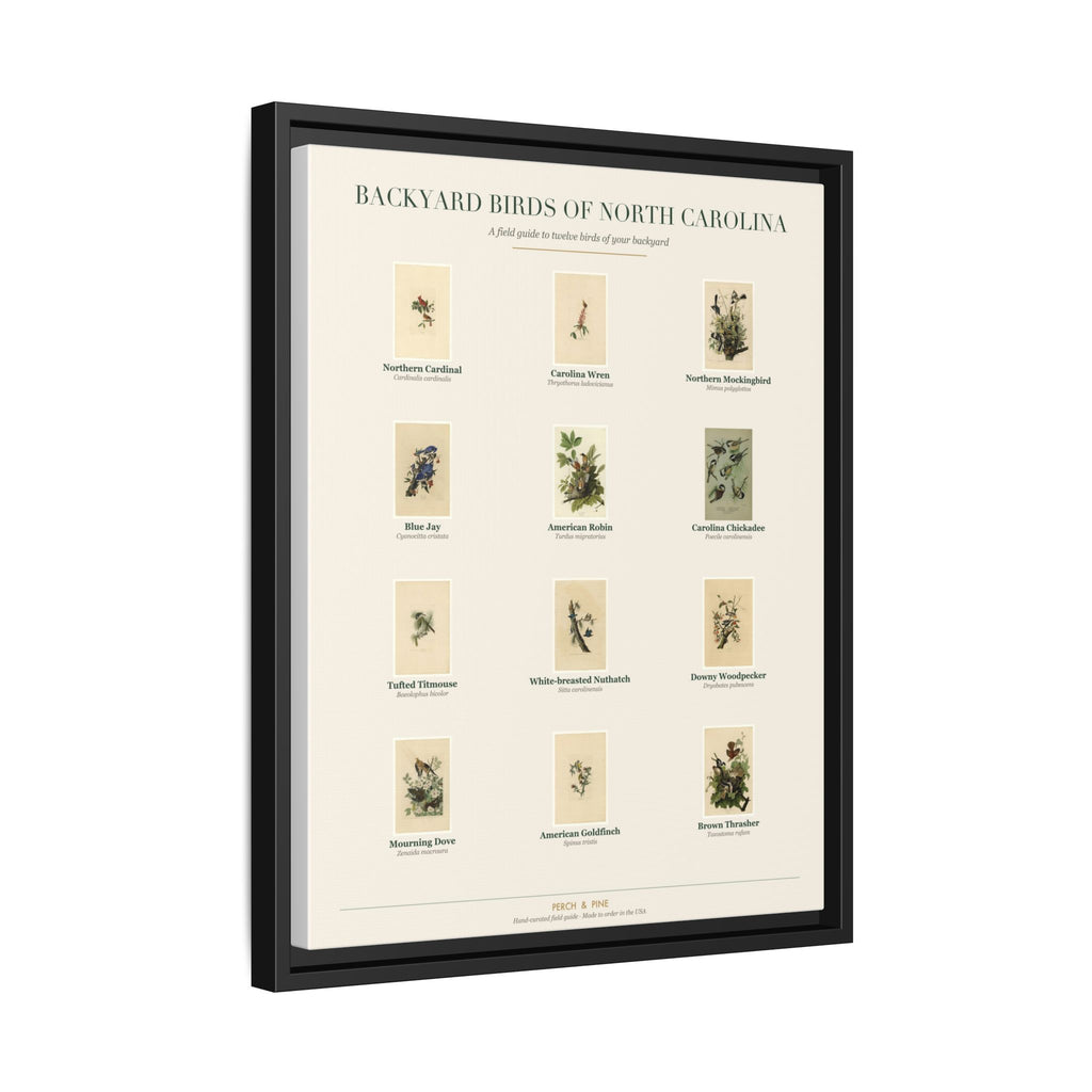 North Carolina backyard birds print, species labeled by name | Perch & Pine