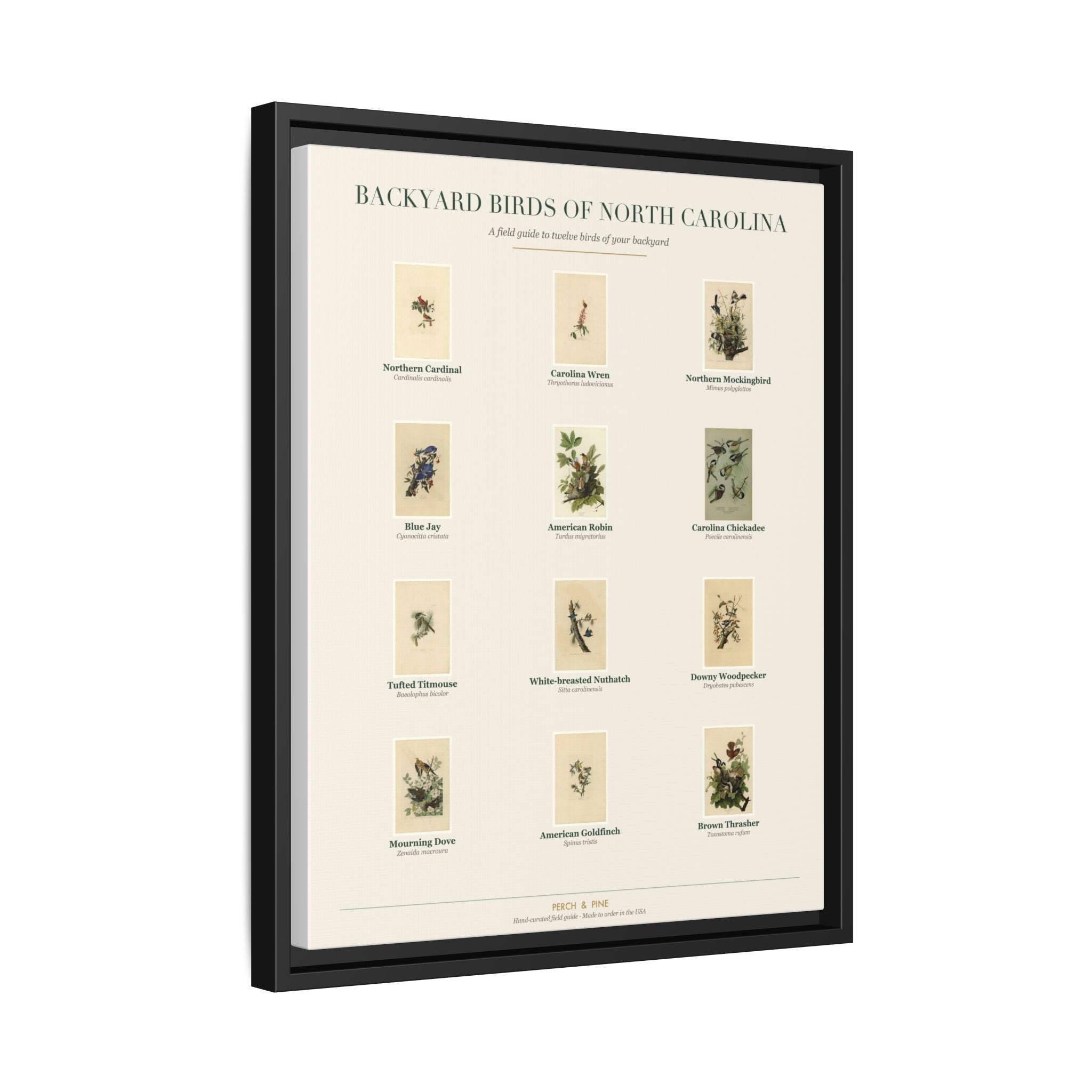 North Carolina backyard birds print, species labeled by name | Perch & Pine