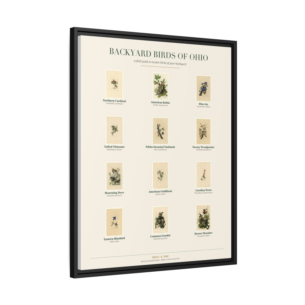 Backyard Birds of Ohio — Framed Canvas Bird Identification Print