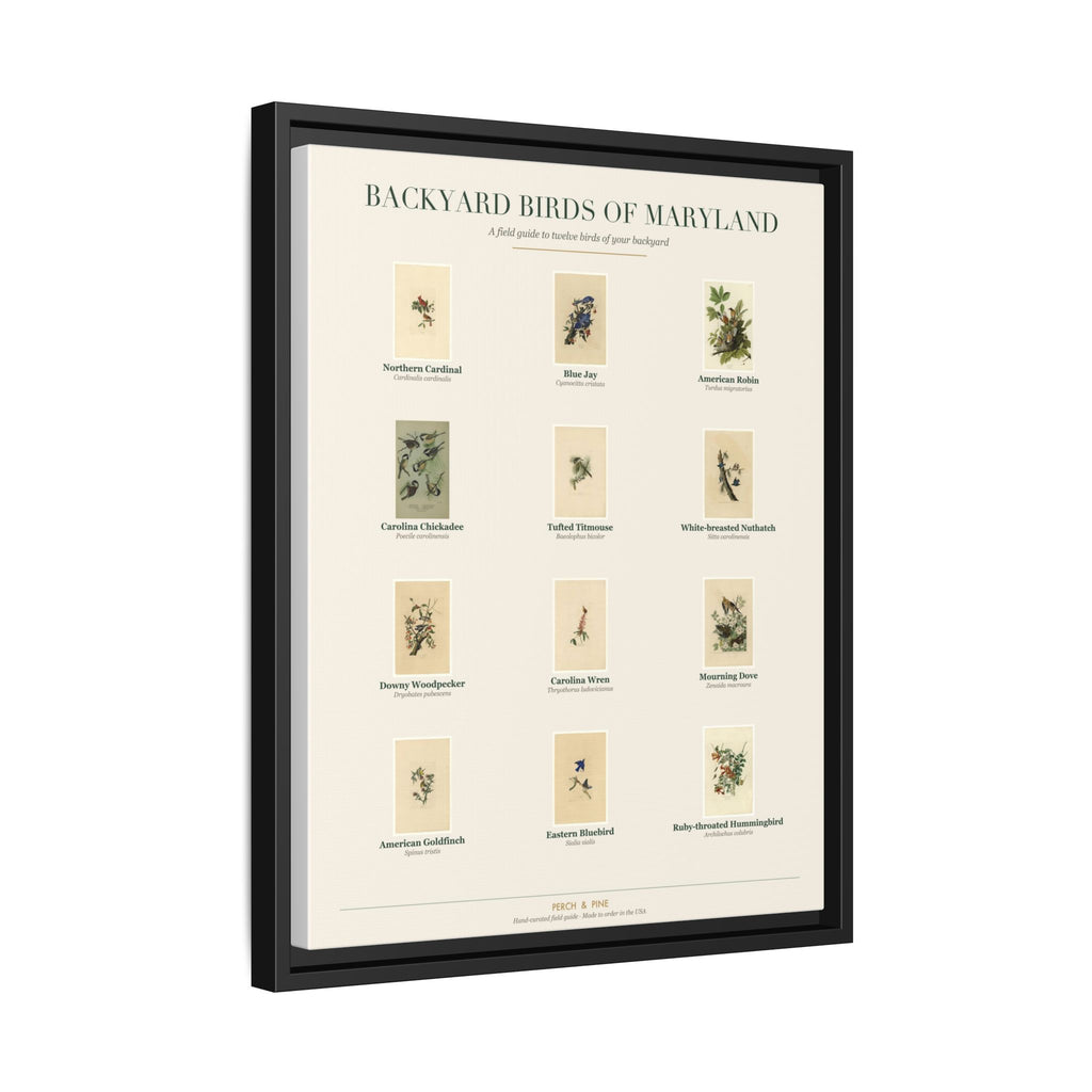 Maryland backyard birds print, species labeled by name | Perch & Pine