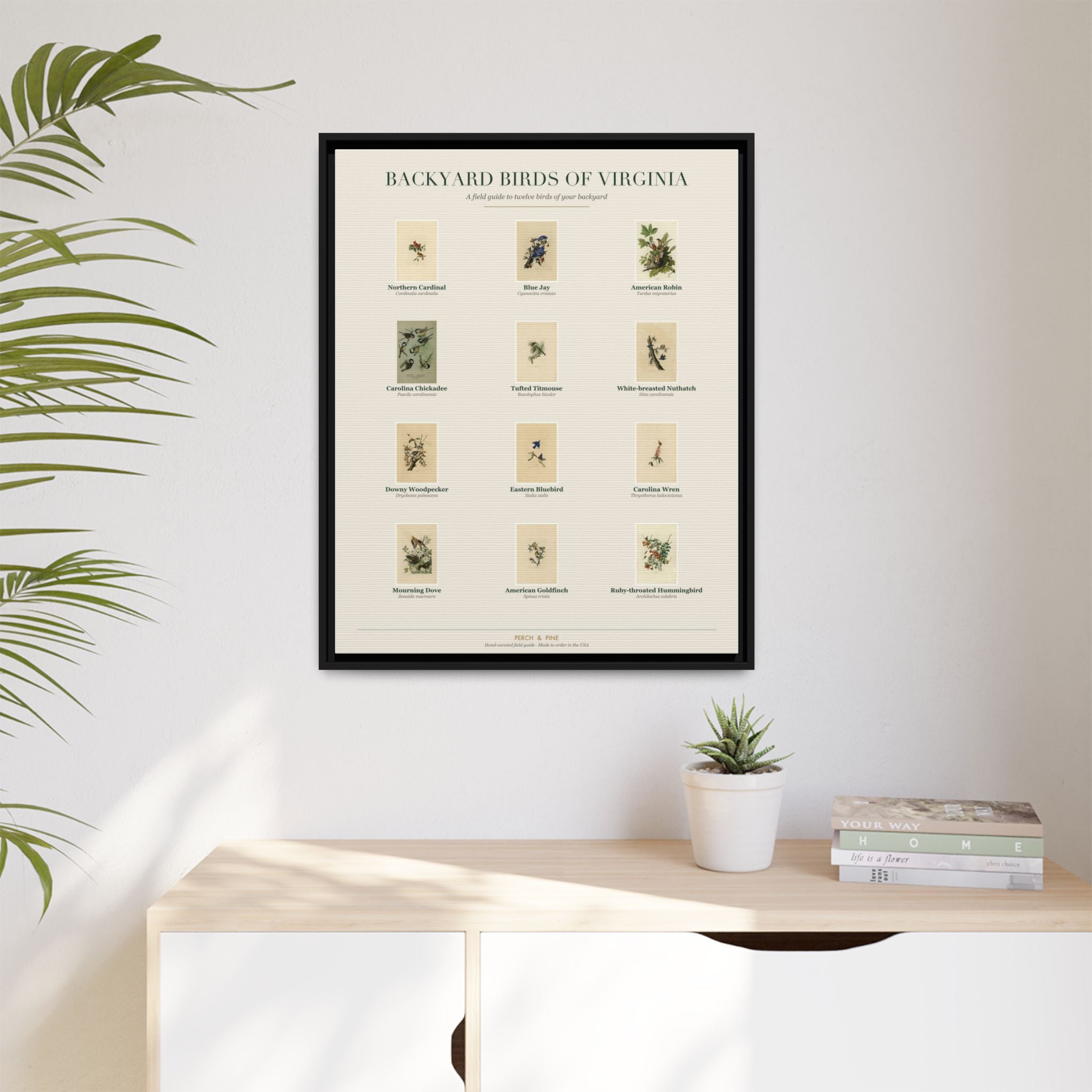 Backyard Birds of Virginia — Framed Canvas Bird Identification Print