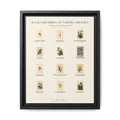 North Carolina bird field guide wall art — gallery-wrapped canvas | Perch & Pine
