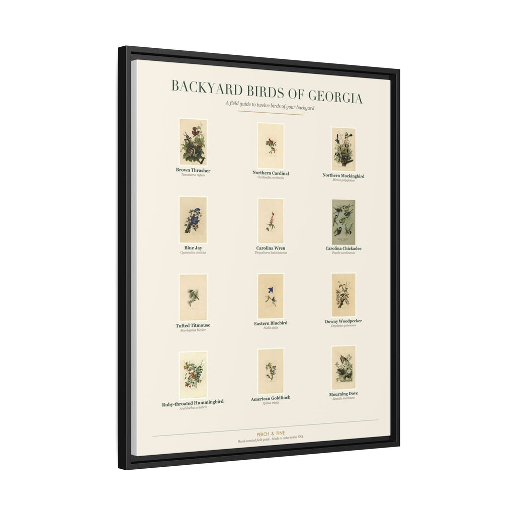 Backyard Birds of Georgia Framed Canvas Wall Art Print