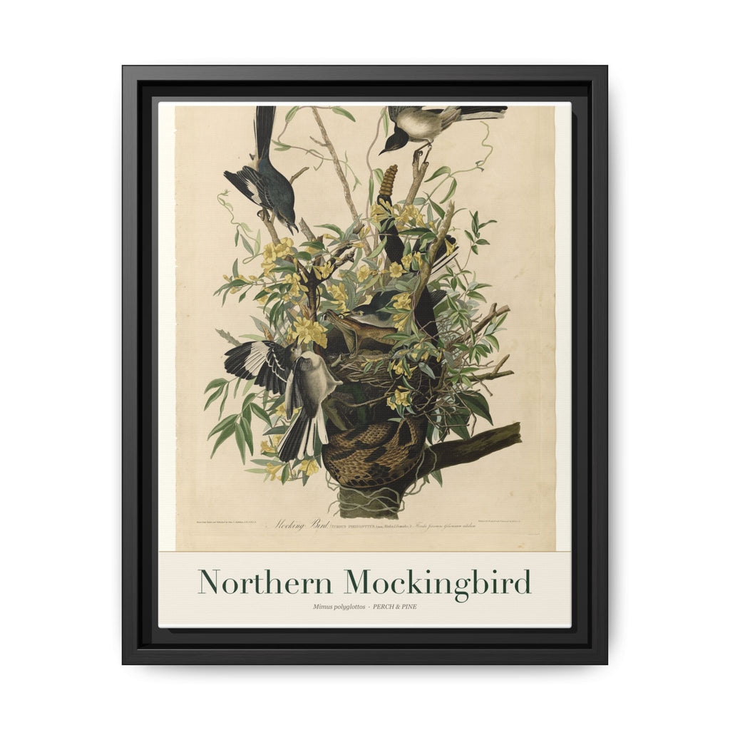 Northern Mockingbird bird wall art — gallery-wrapped canvas | Perch & Pine