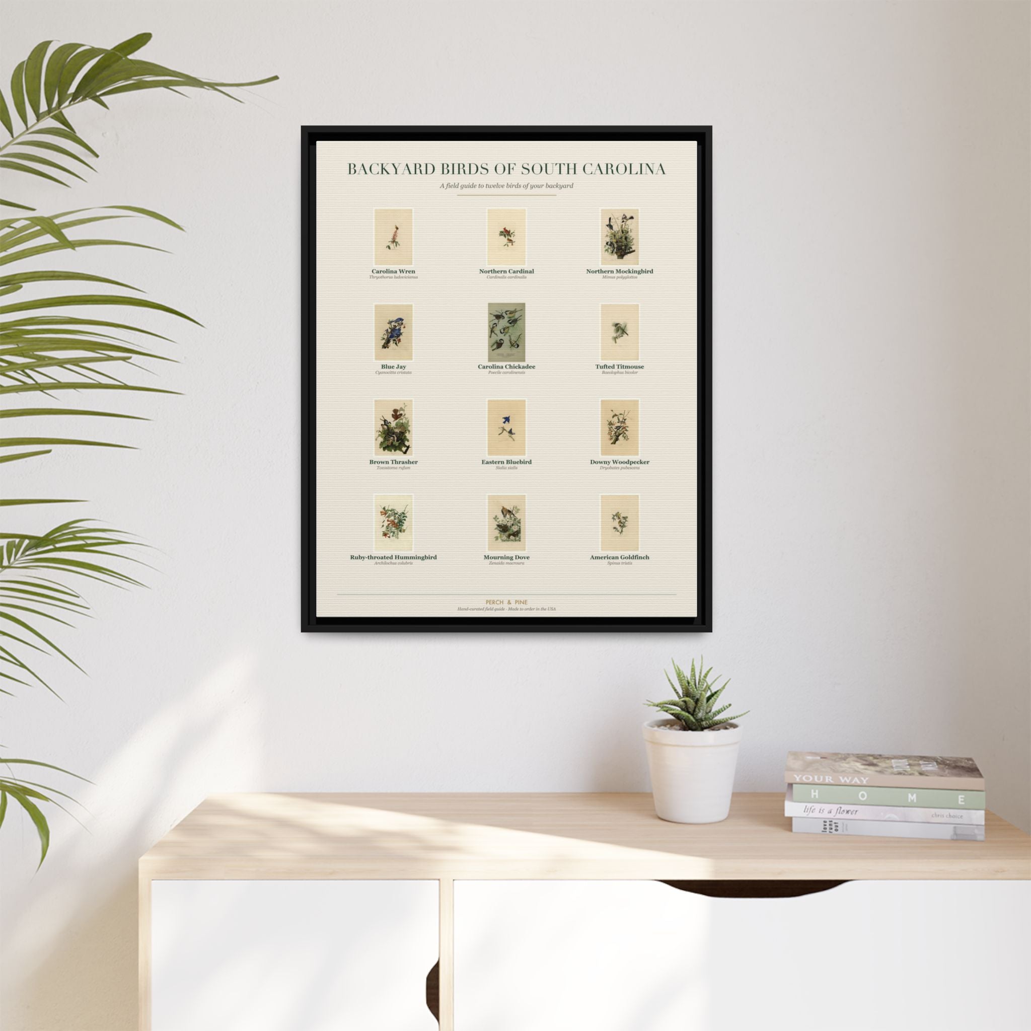 Backyard Birds of South Carolina — Framed Canvas Bird Identification Print
