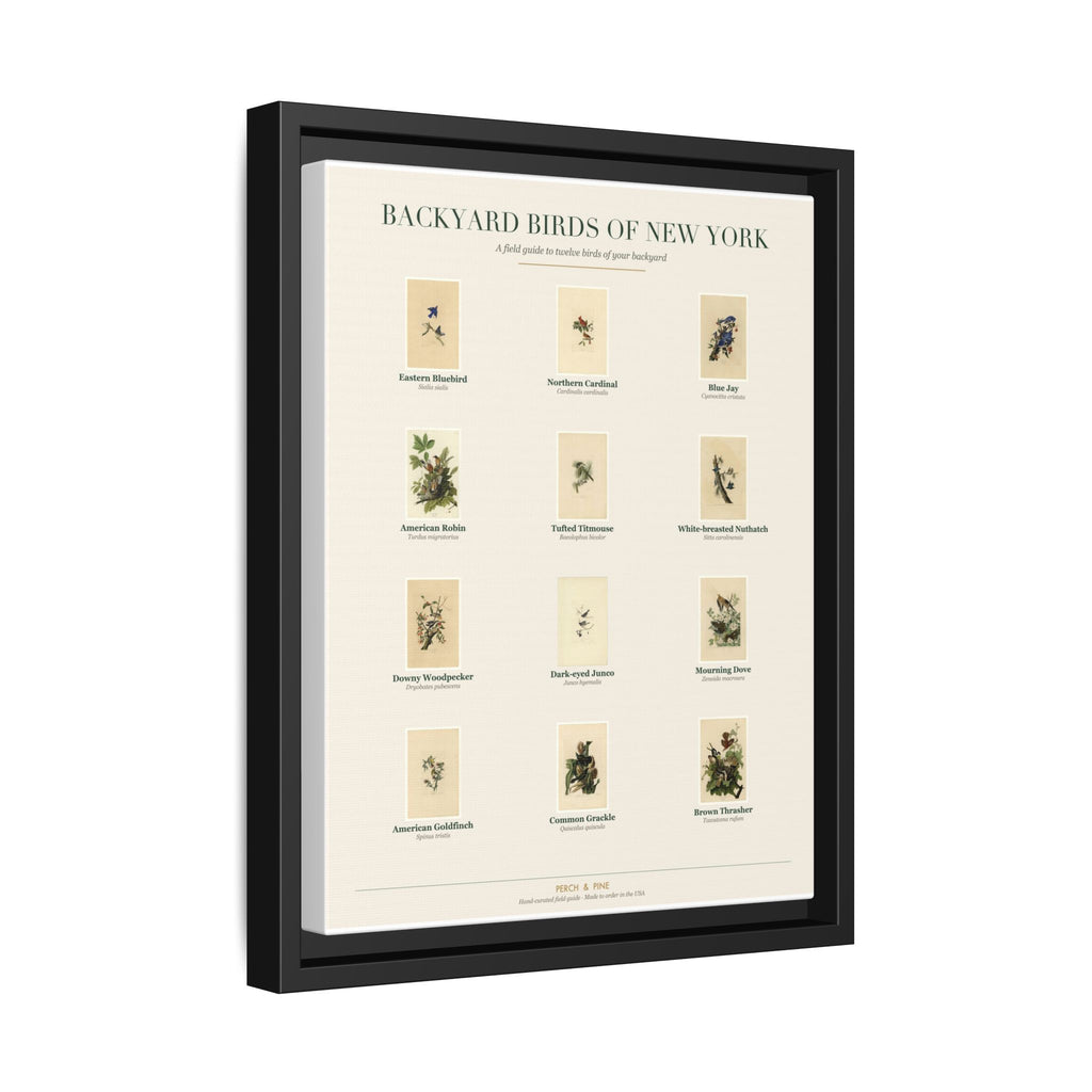 Backyard Birds of New York — Framed Canvas Bird Identification Print