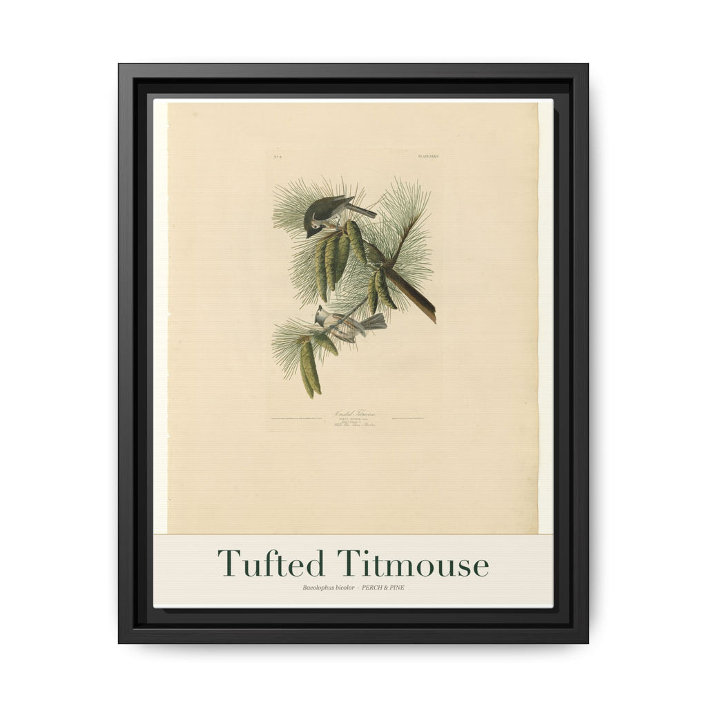 Tufted Titmouse bird wall art — gallery-wrapped canvas | Perch & Pine